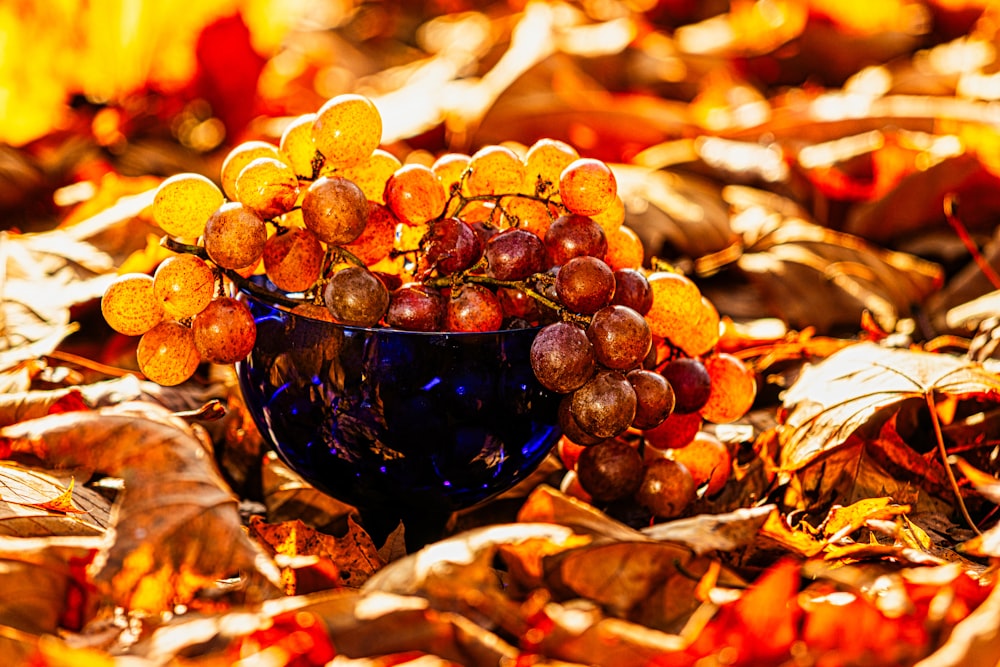 a glass bowl filled with grapes on top of leaves