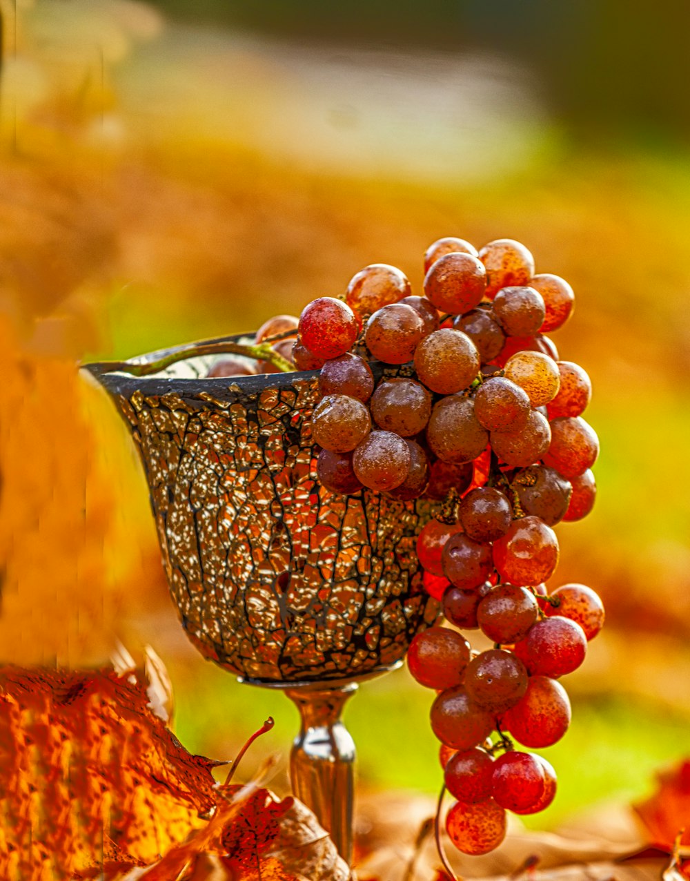 a basket of grapes sitting on top of a table