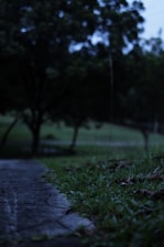 Soft outdoor lighting illuminating a stone pathway at twilight.