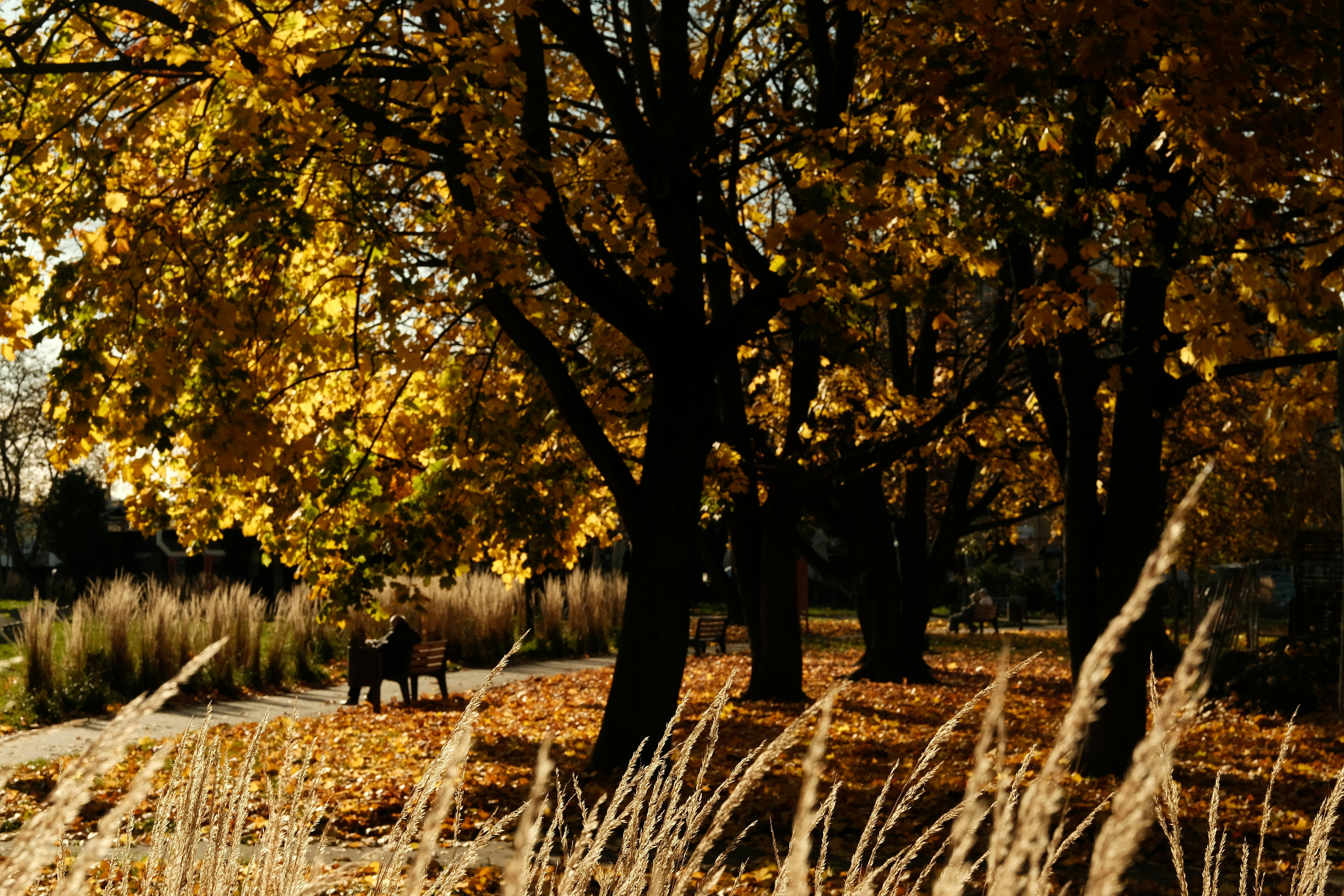 Preparing for tomorrow