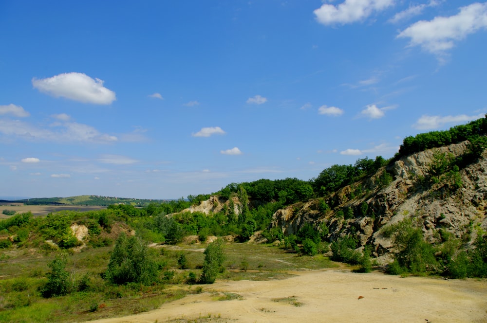 a scenic view of a valley with trees on the side