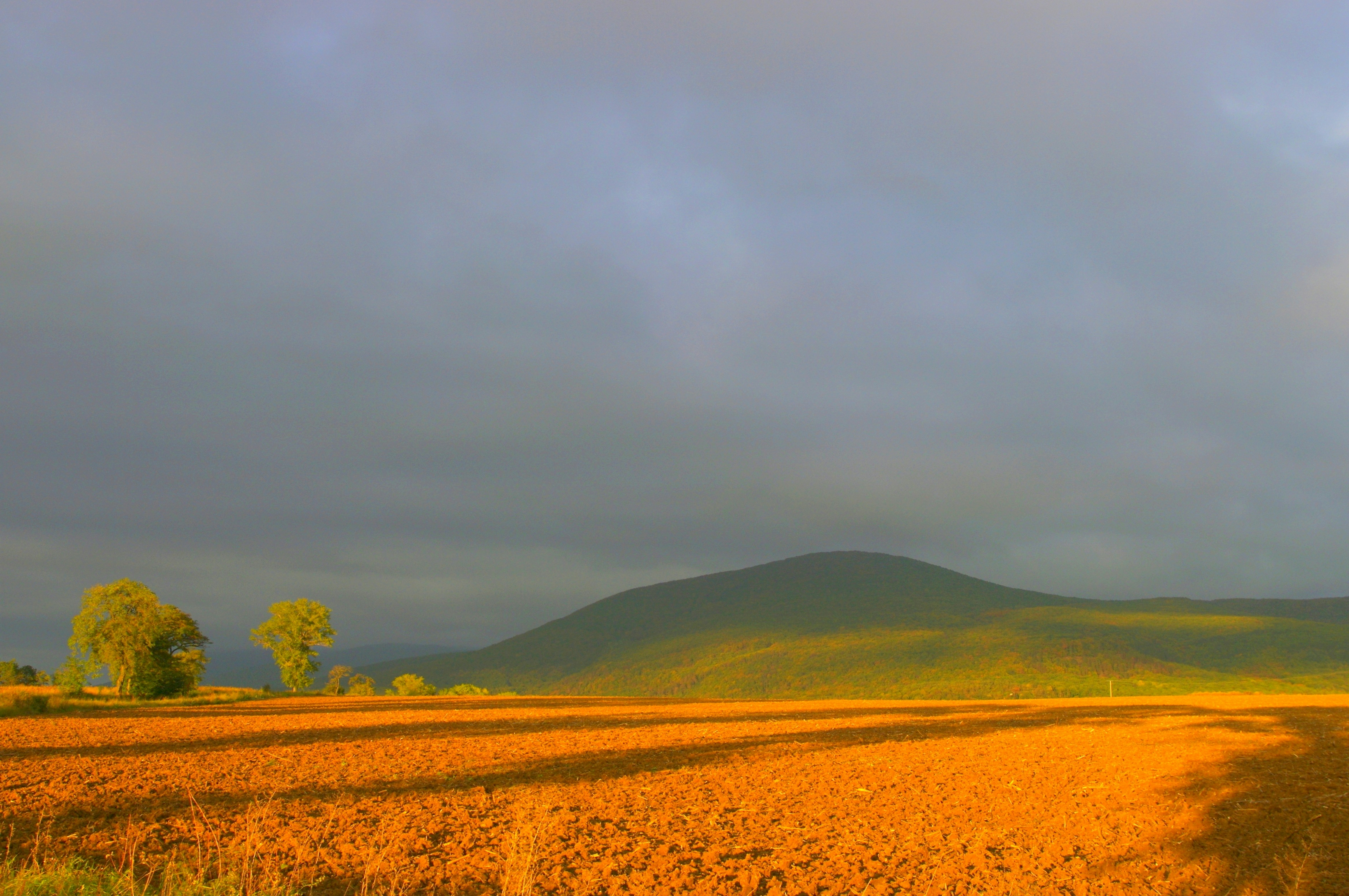 Photo by celtic57