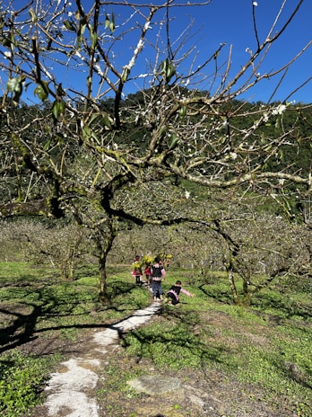 A teacher guiding young students outdoors, surrounded by nature and bright sunlight.