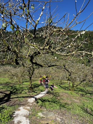 The image features a scenic landscape with leafless trees on a sunny day. A group of children is walking along a narrow path surrounded by grass and trees. The bright blue sky contrasts with the green and brown hues of the trees and ground.