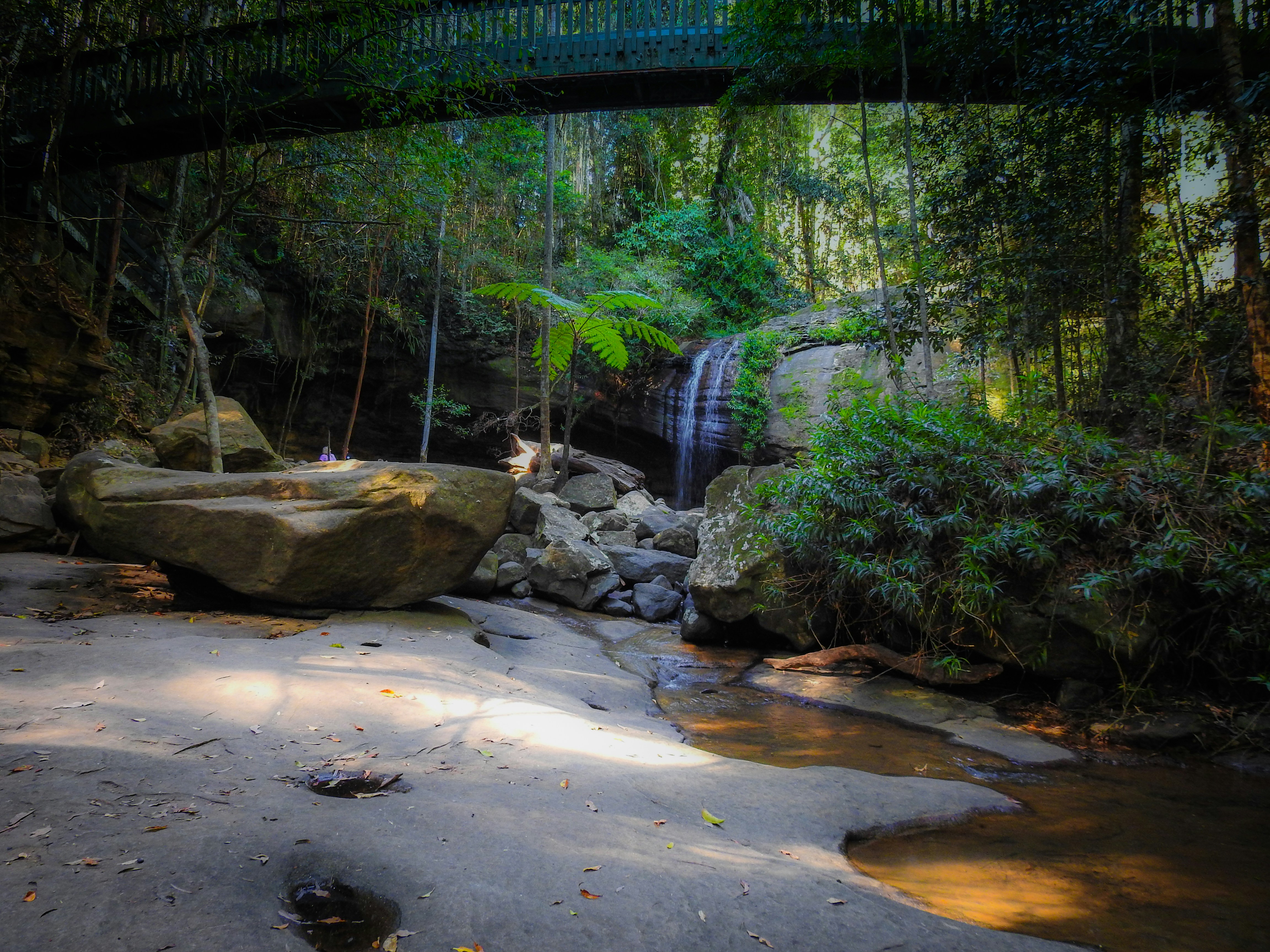 Photo by debbieducic