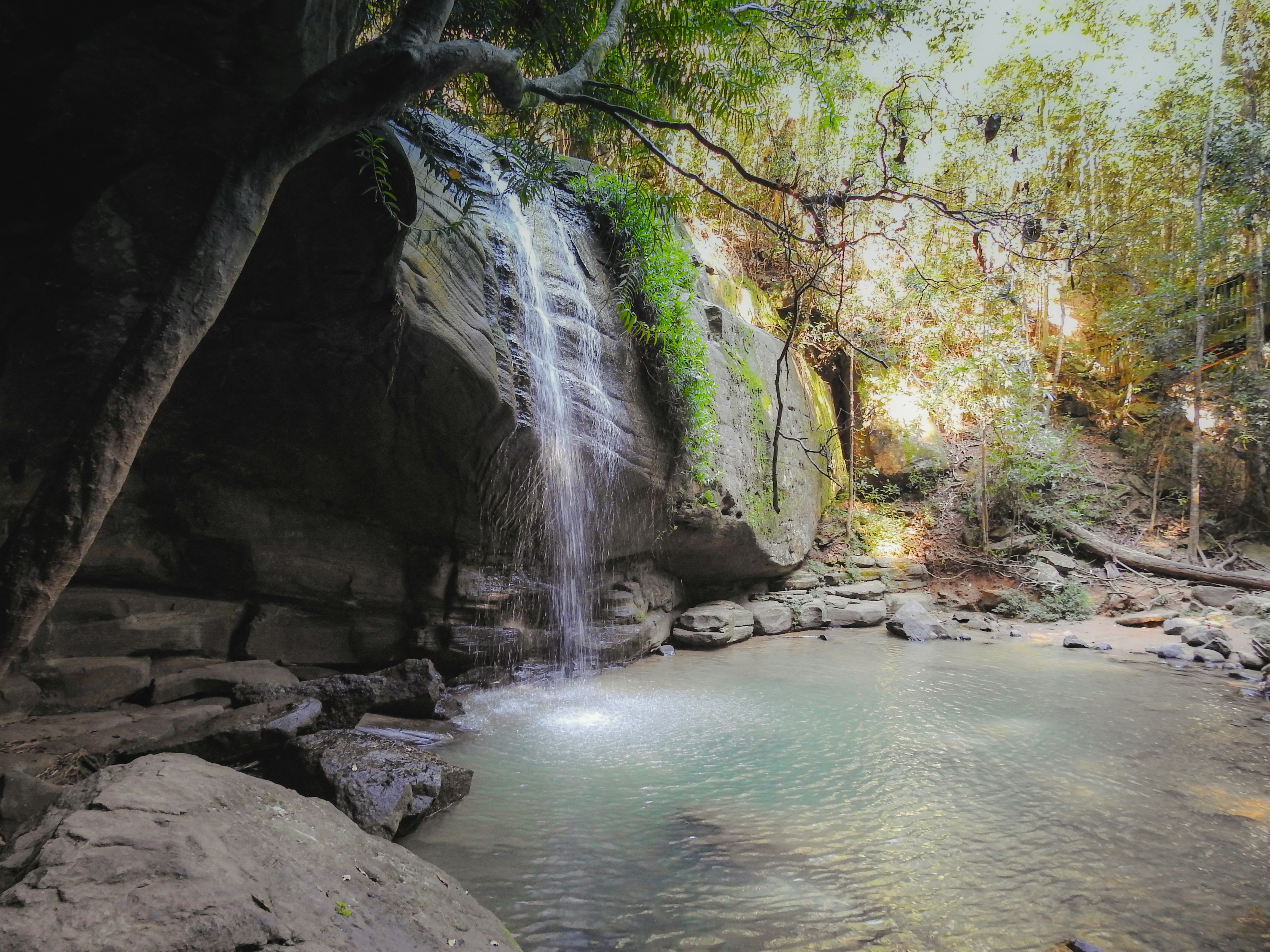 Photo by debbieducic