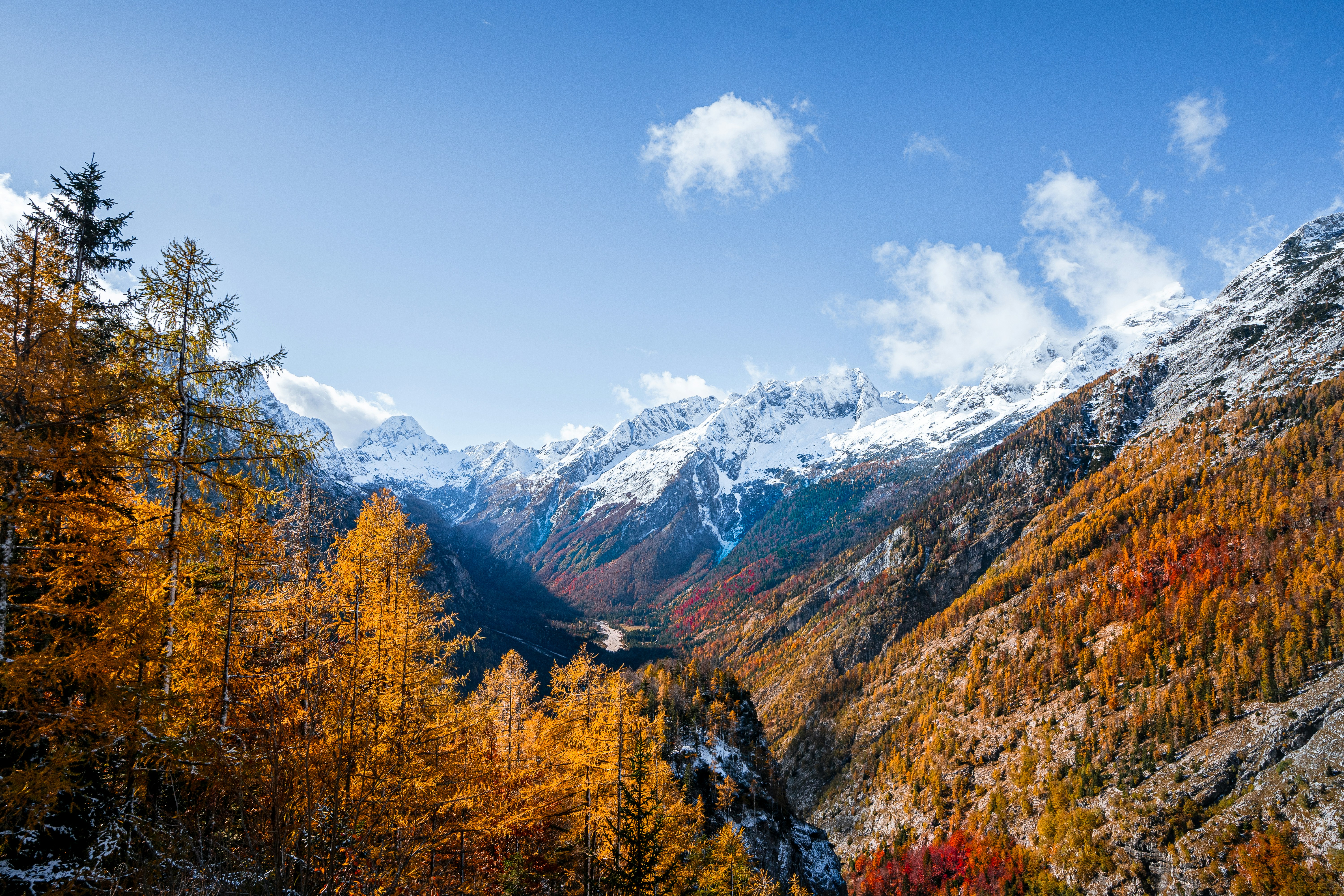 Photo by michaljaneck