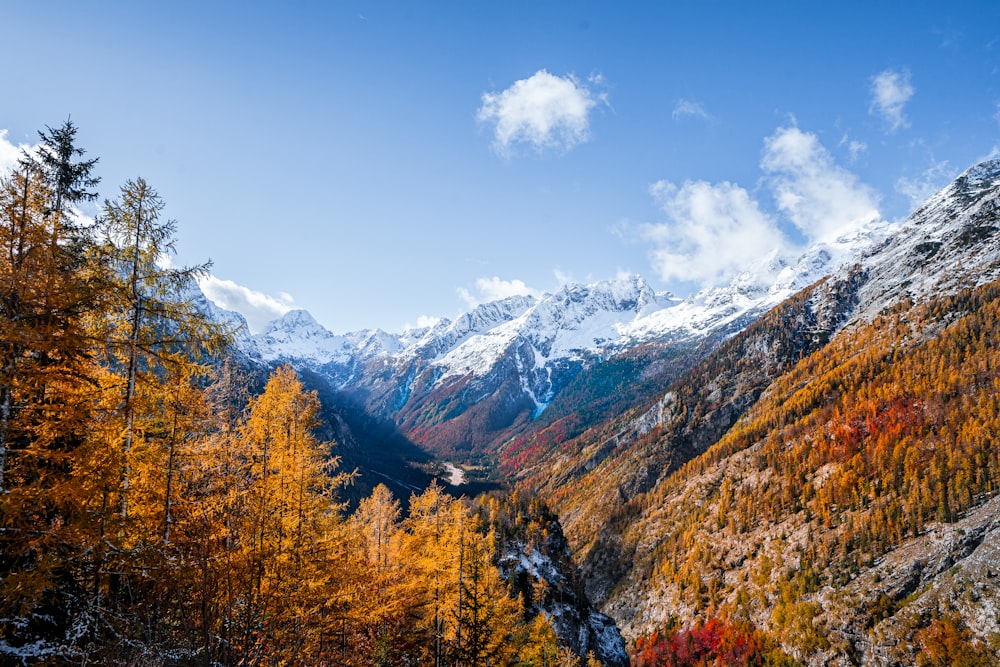 a scenic view of a mountain range in autumn