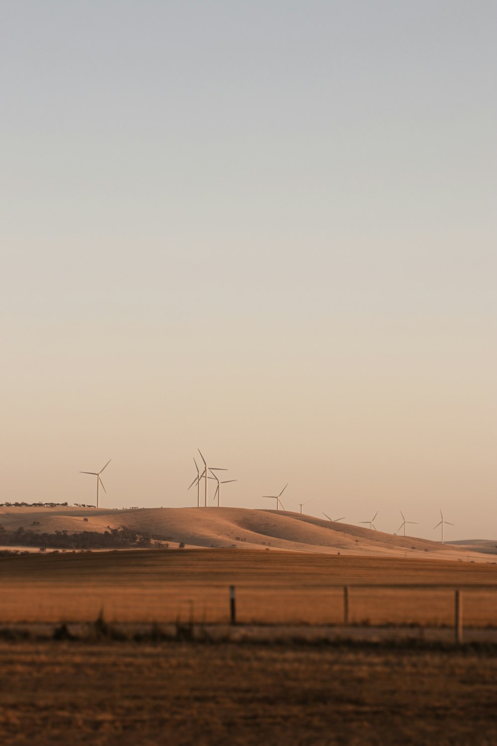 um grupo de moinhos de vento ao longe em um campo