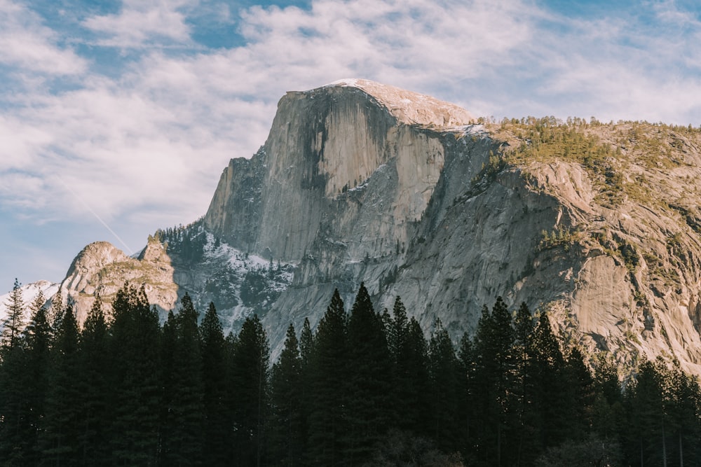 a large mountain with trees in front of it