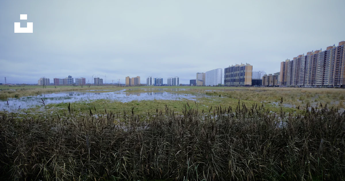 Marsh Hd Background A marshy marsh with tall buildings in the background photo – Free ...