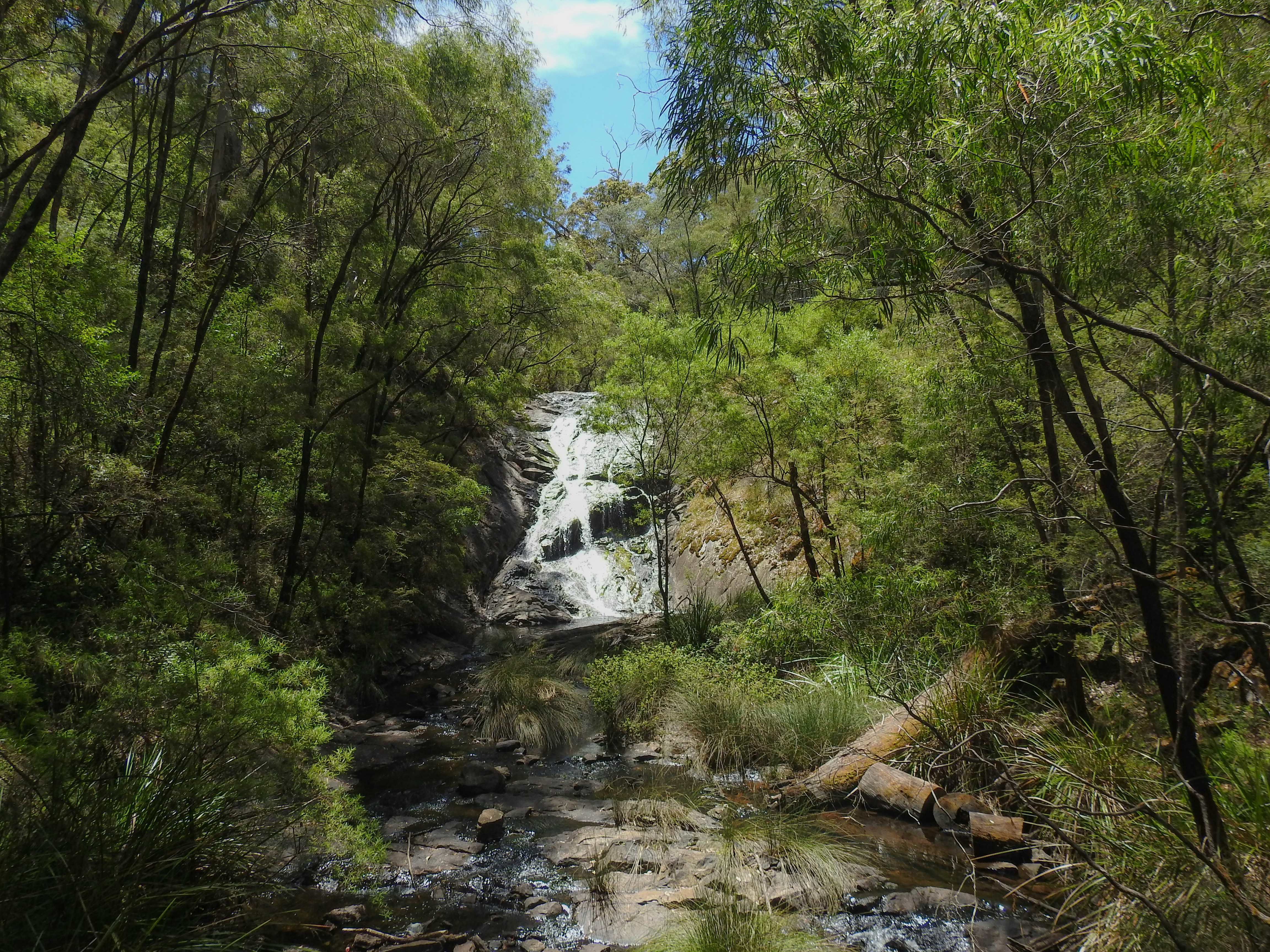 Photo by debbieducic