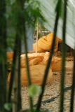 A cozy outdoor setting featuring several orange bean bags arranged on a bed of pebbles. The scene is framed by green plant stems or bamboo, adding a natural barrier. Sunlight filters through, casting a warm, inviting glow across the bean bags.