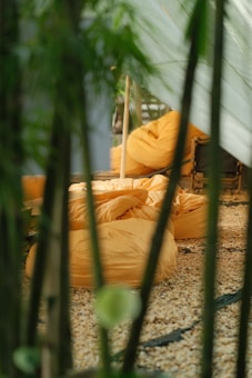 A cozy outdoor setting featuring several orange bean bags arranged on a bed of pebbles. The scene is framed by green plant stems or bamboo, adding a natural barrier. Sunlight filters through, casting a warm, inviting glow across the bean bags.