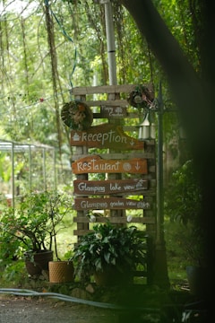 A wooden signpost surrounded by lush greenery, displaying several signs pointing towards a reception, restaurant, and glamping areas with lake and garden views. The signpost is decorated with circular wreaths and flanked by potted plants, set amidst a serene outdoor environment.