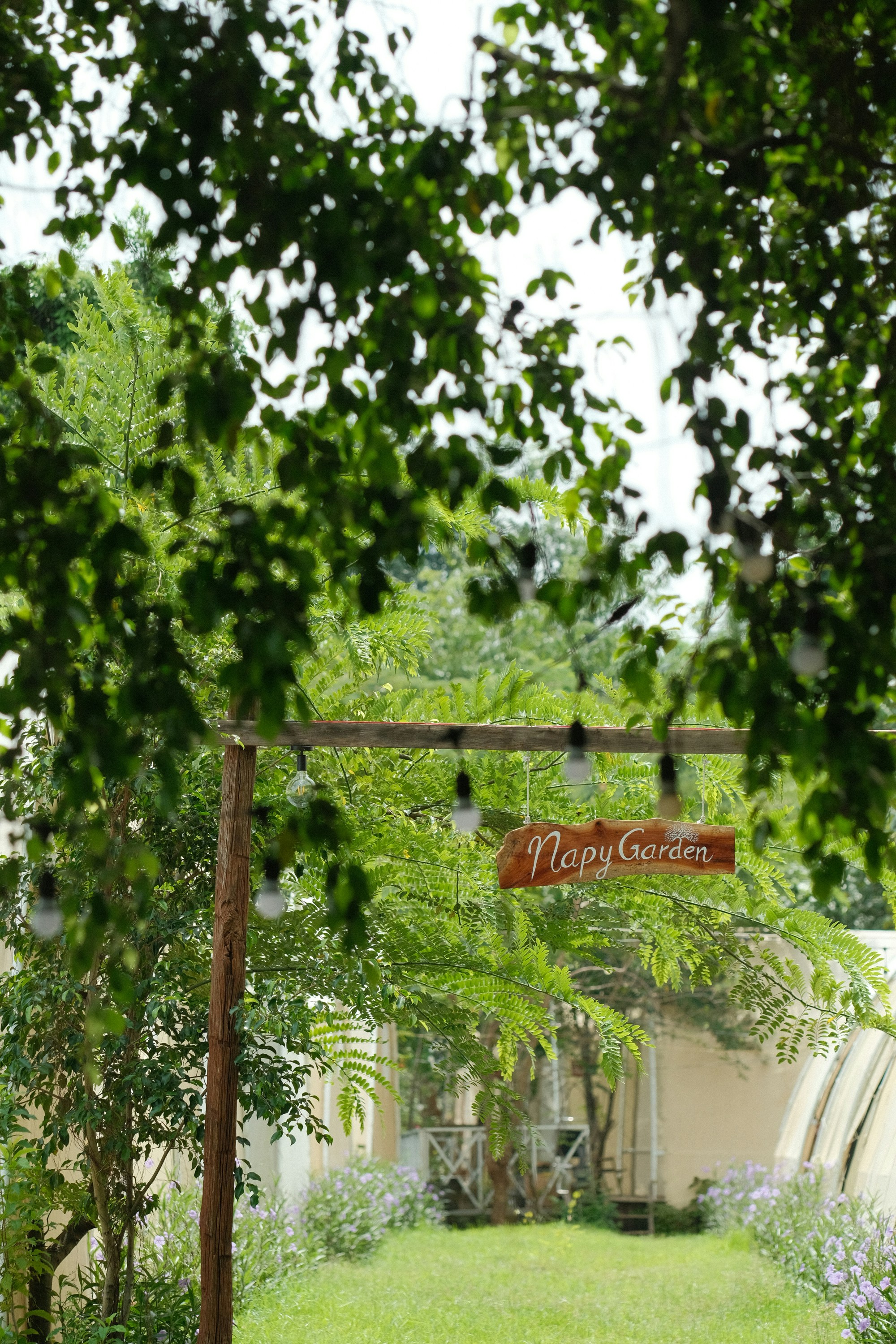 Photo by nguyentrungnguyen