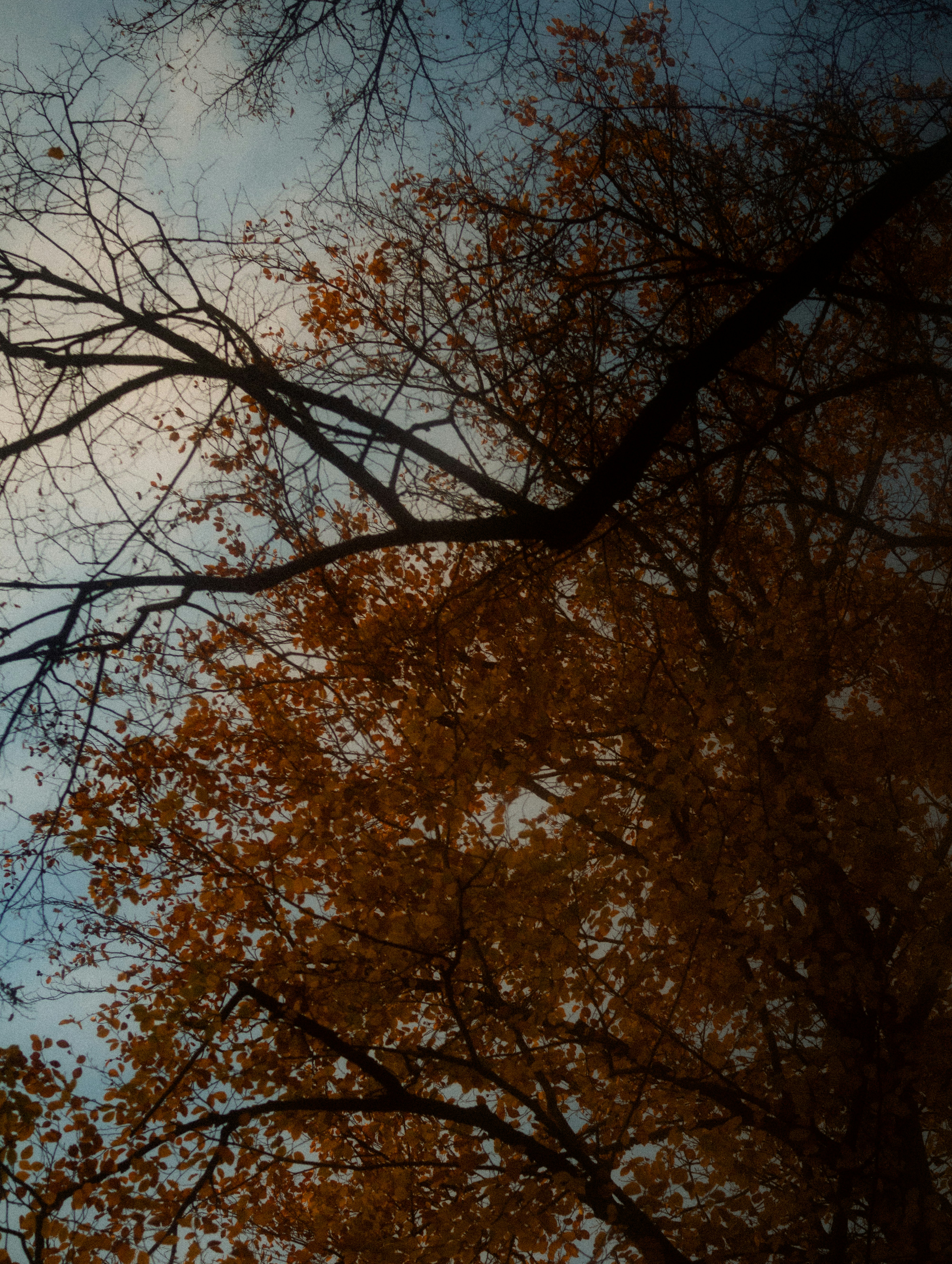 Photo by anyutakejbalo