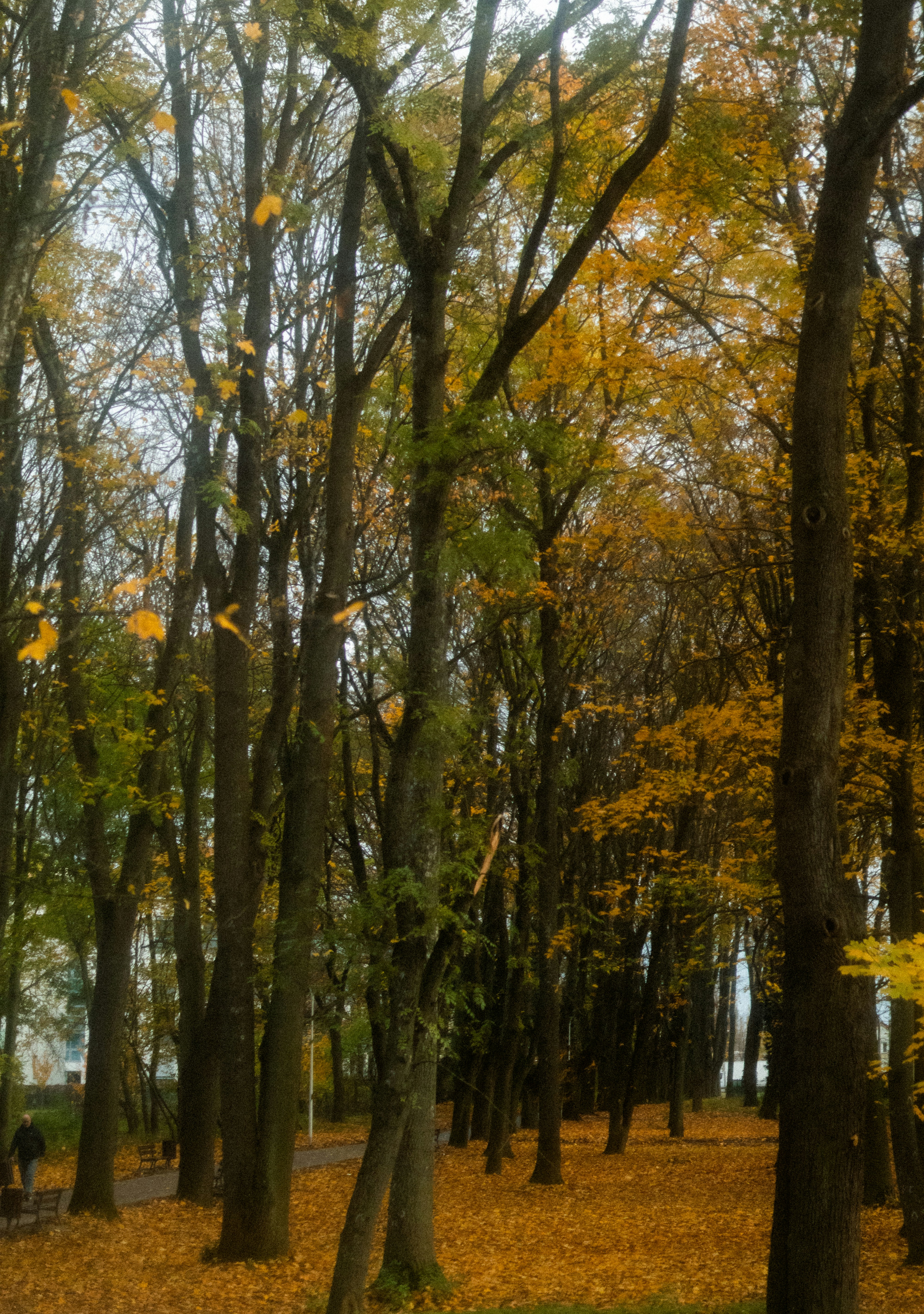 Photo by anyutakejbalo