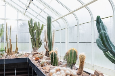 A futuristic greenhouse thriving in a rocky desert under a bright sky.