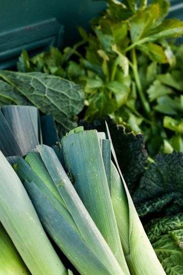A close-up of various leafy green vegetables, including leeks and kale. The leaves have a vibrant and fresh appearance, with textures ranging from smooth to crinkled.