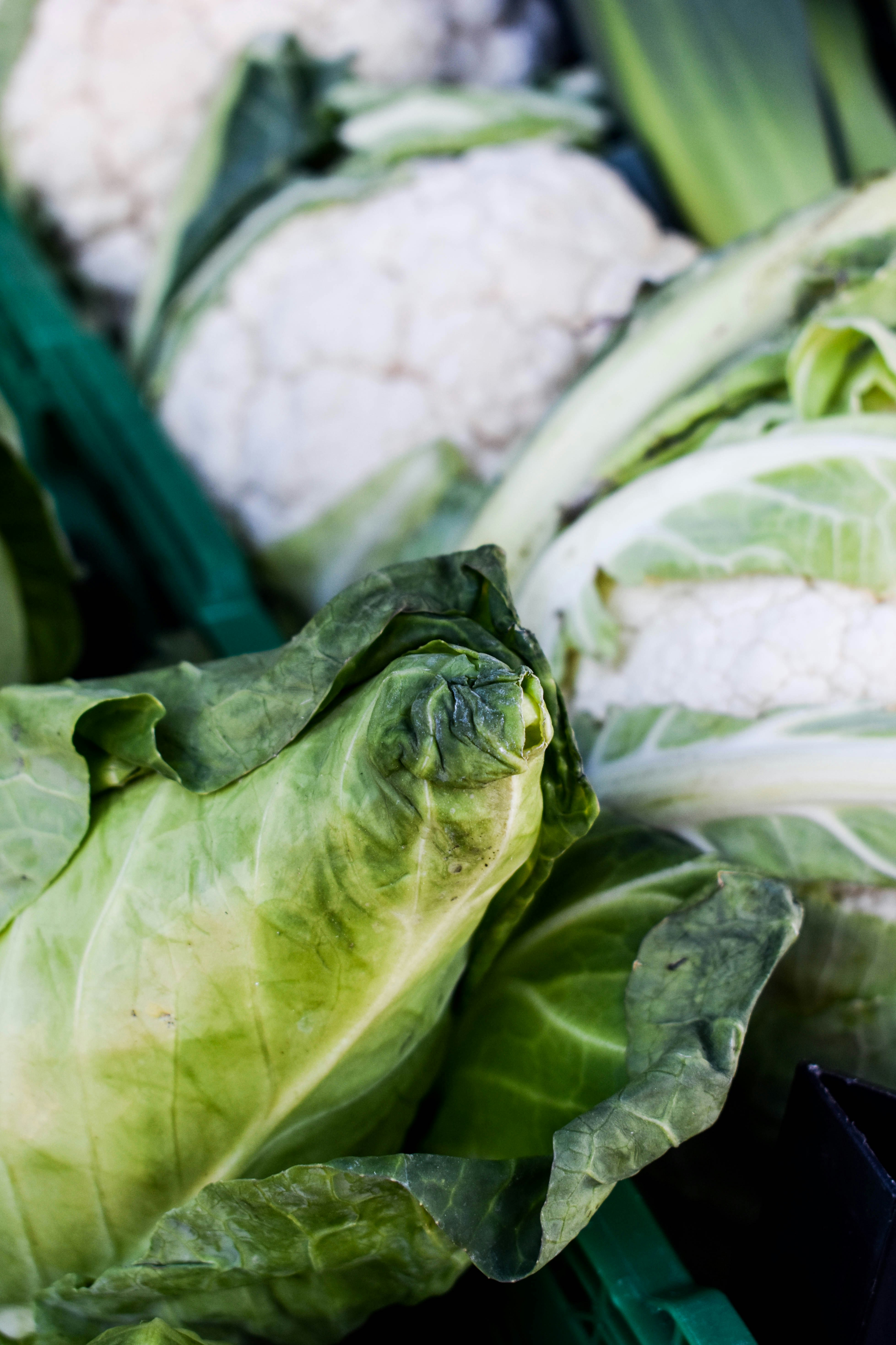 Photo by girl_behindthelens