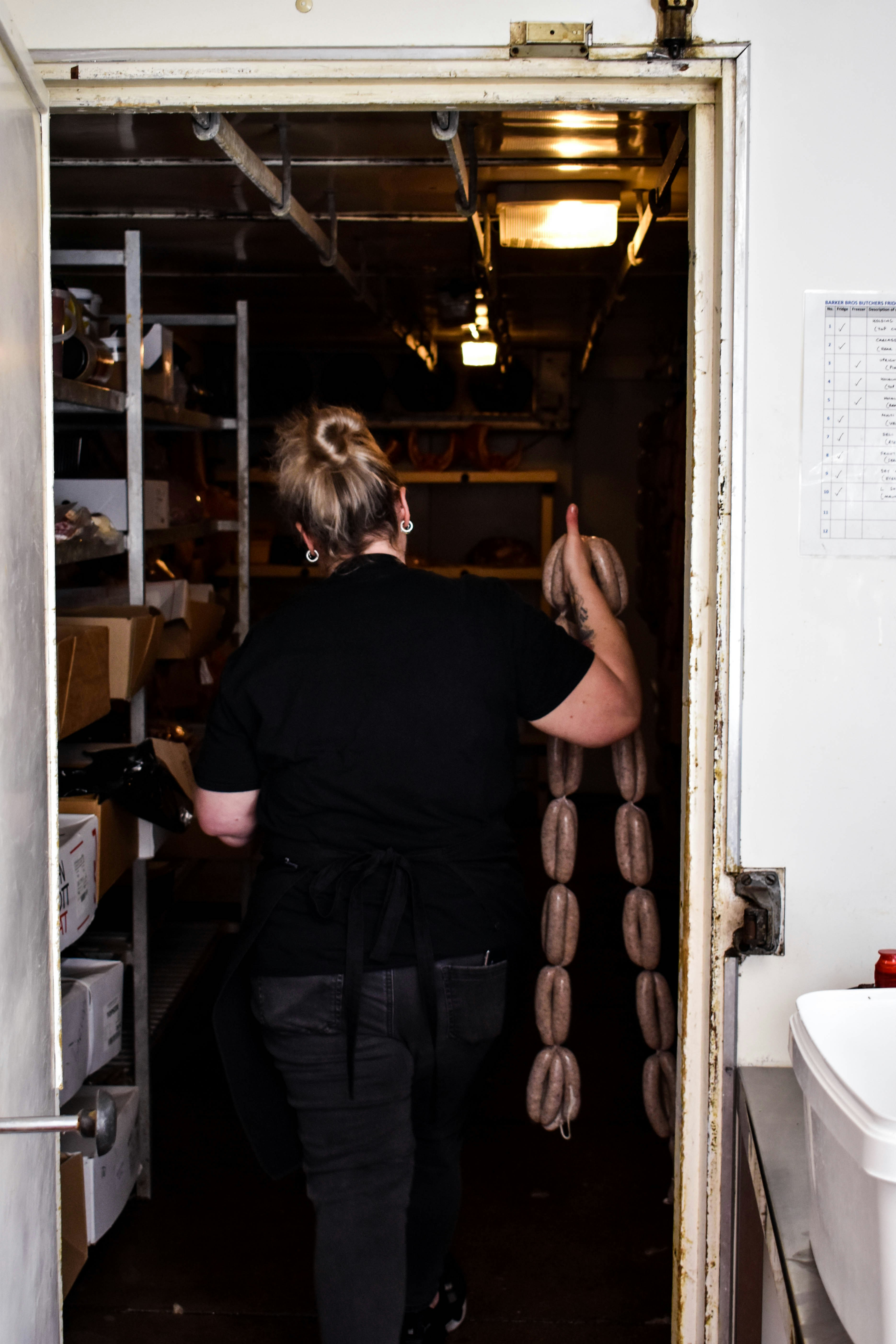 green tree on brown field during daytime