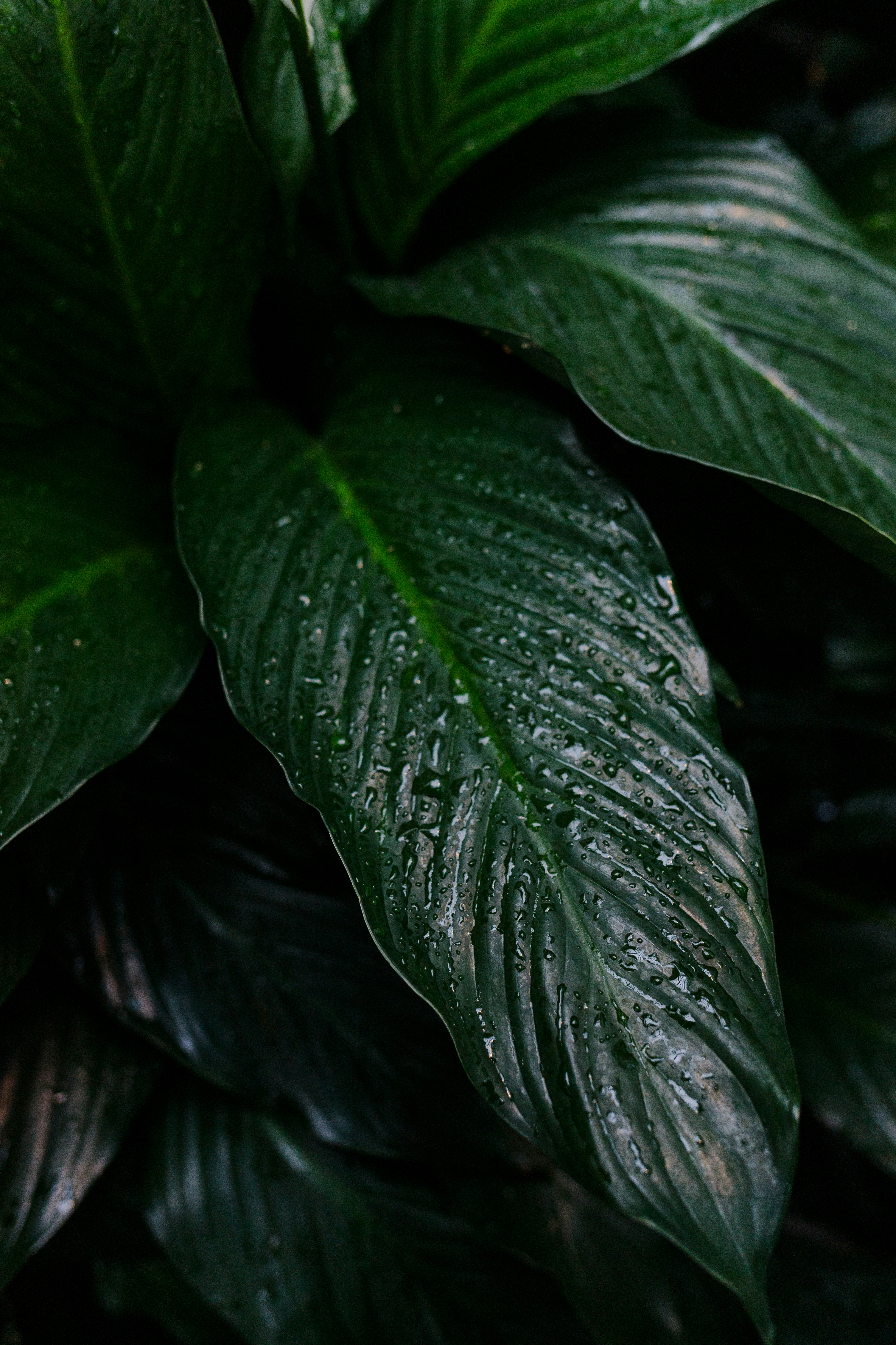 Photo by mollylowneyphoto