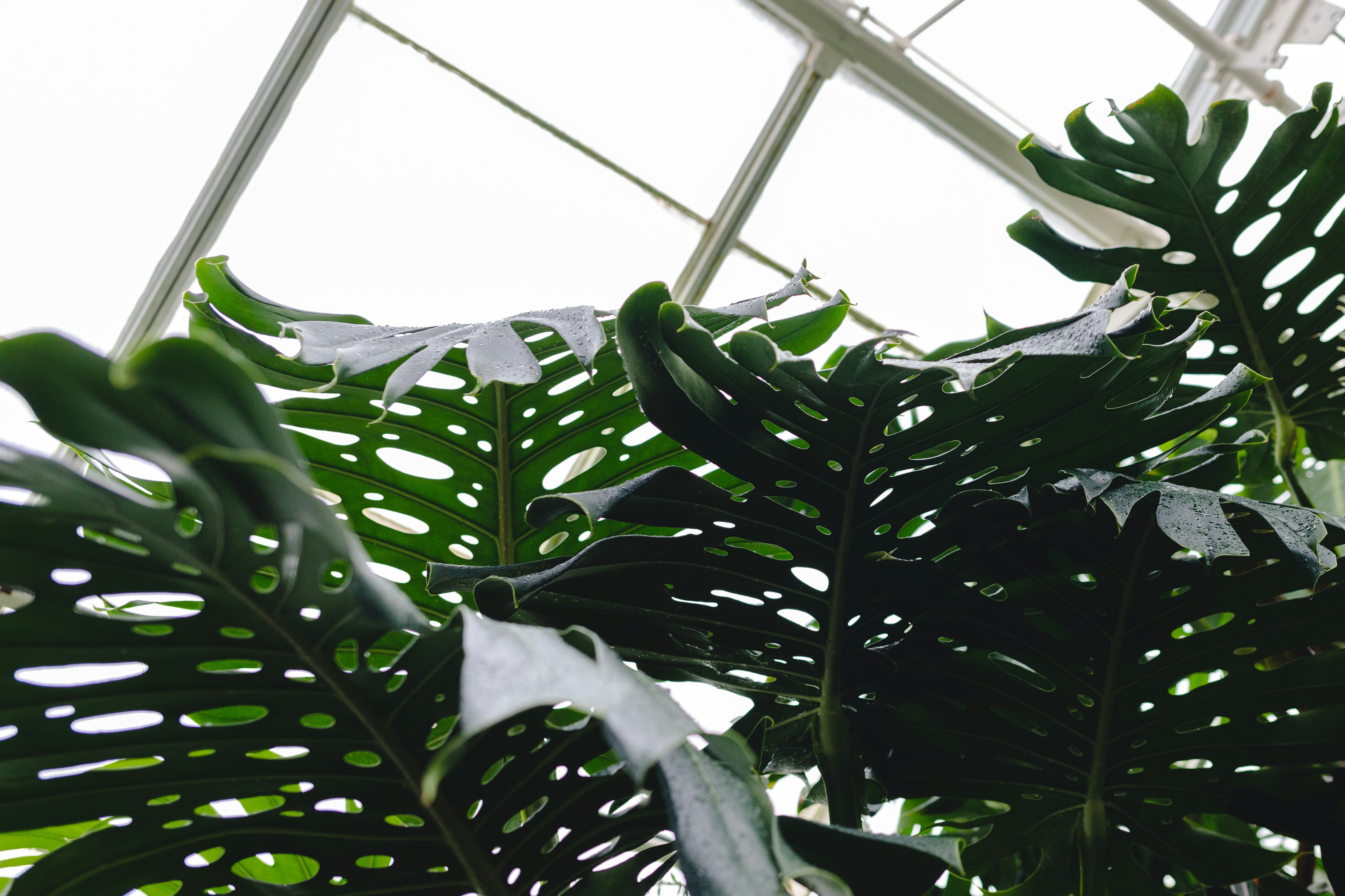 Photo by mollylowneyphoto