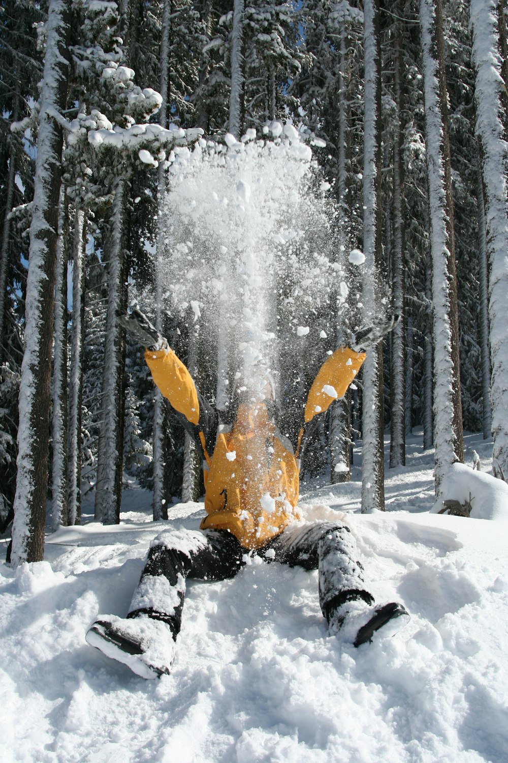 a person sitting in the snow in front of a forest