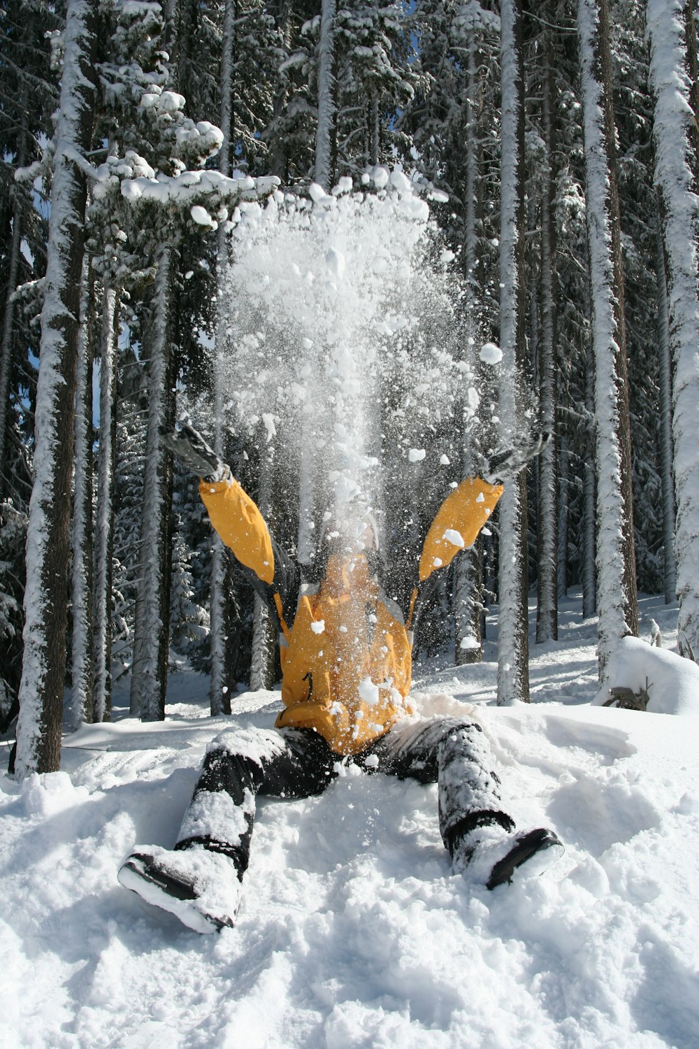 une personne assise dans la neige devant une forêt