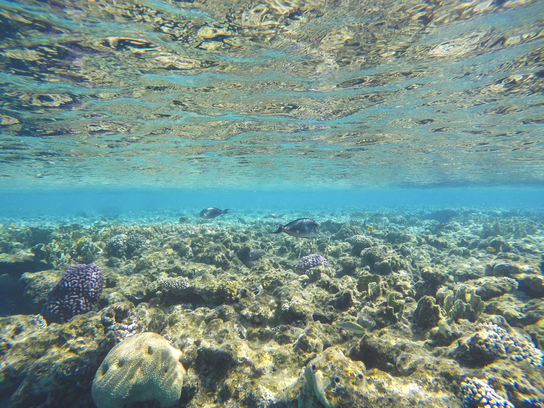 Hurghada travel scenery in Egypt
