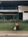 A person wearing an orange vest is cleaning up a grassy area outside a modern building, holding a sack. The area is bordered by a sidewalk, with the building featuring large windows and a sleek design.