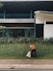 A person wearing an orange vest is cleaning up a grassy area outside a modern building, holding a sack. The area is bordered by a sidewalk, with the building featuring large windows and a sleek design.