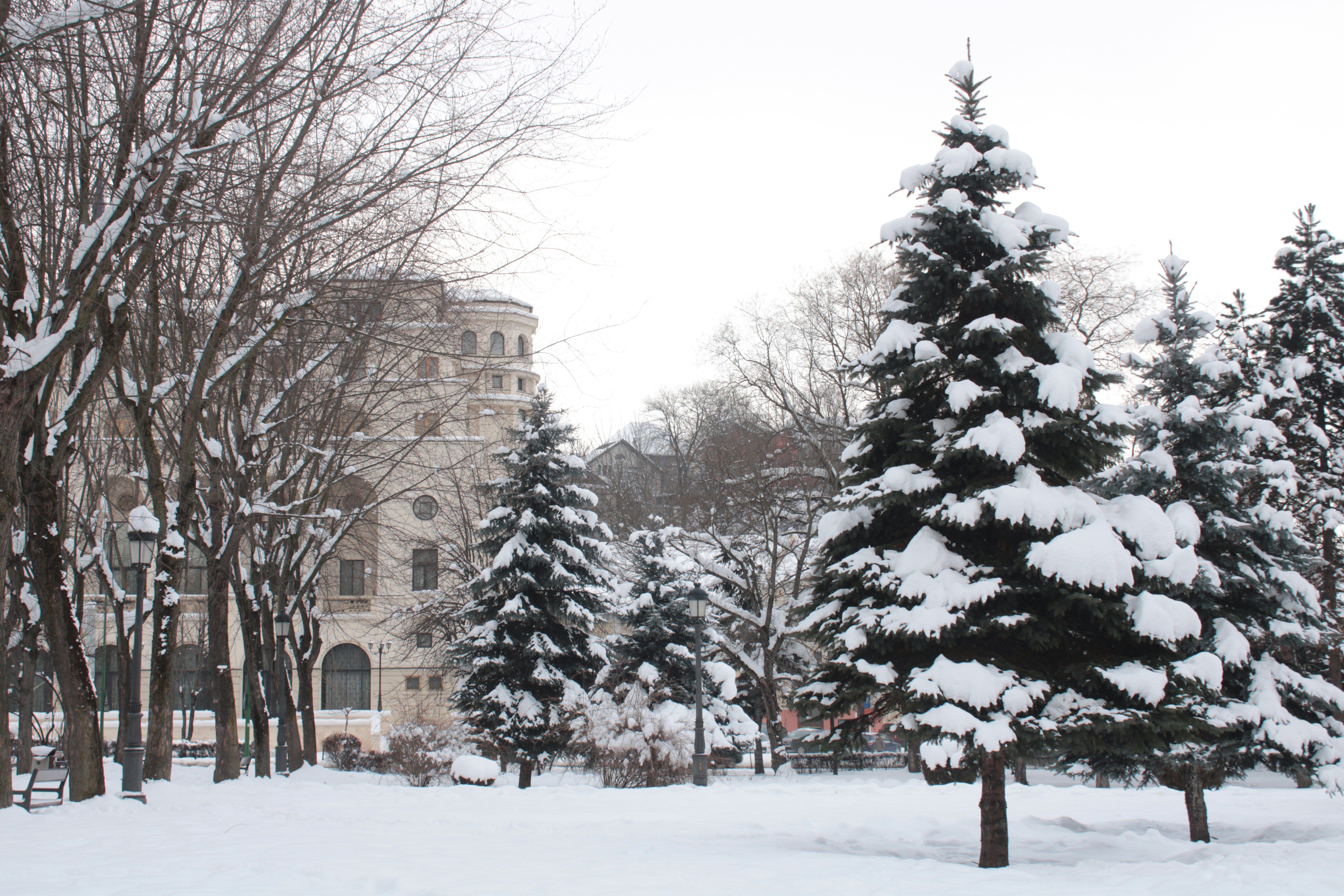 Photo by thorai9akira