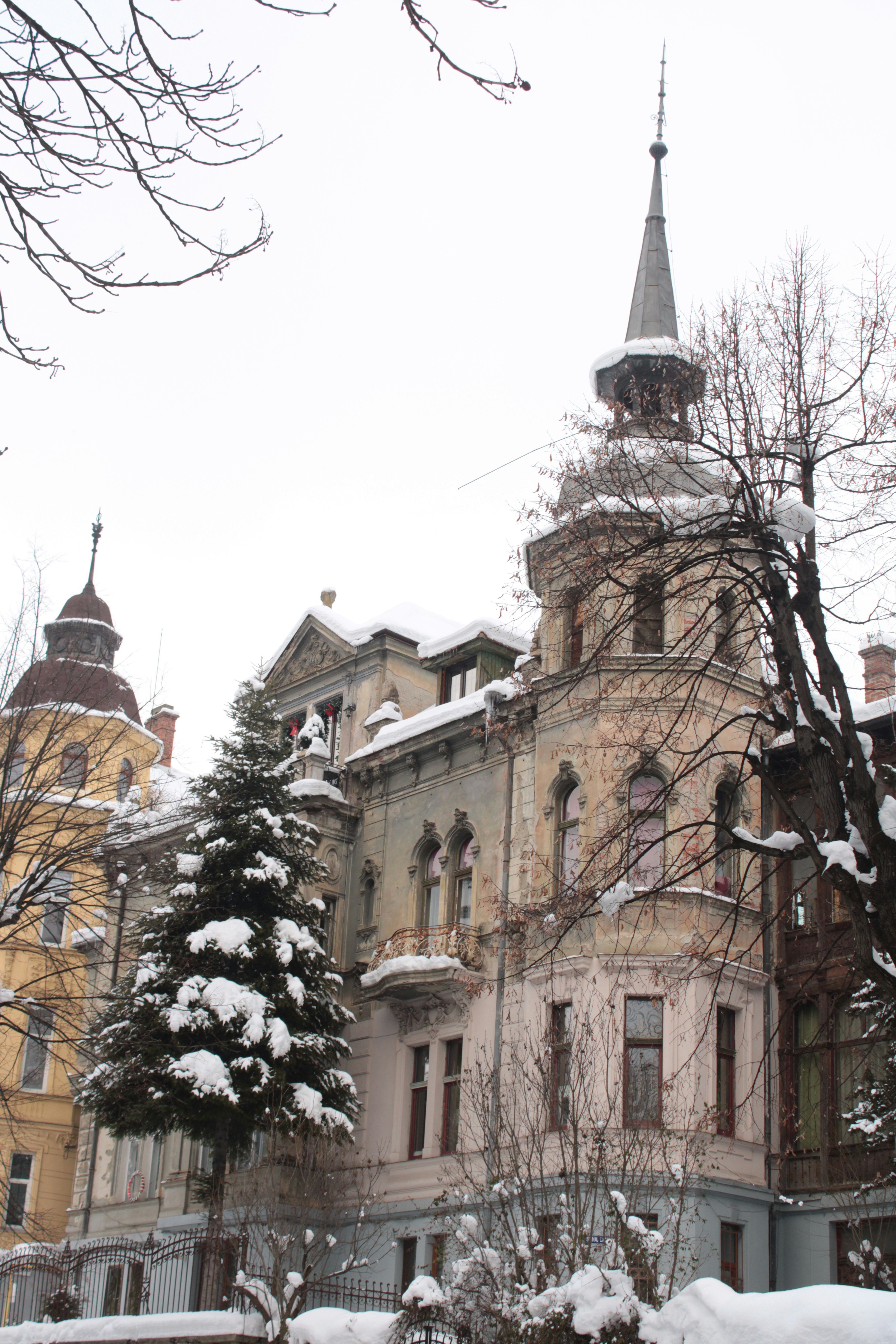 Photo by thorai9akira