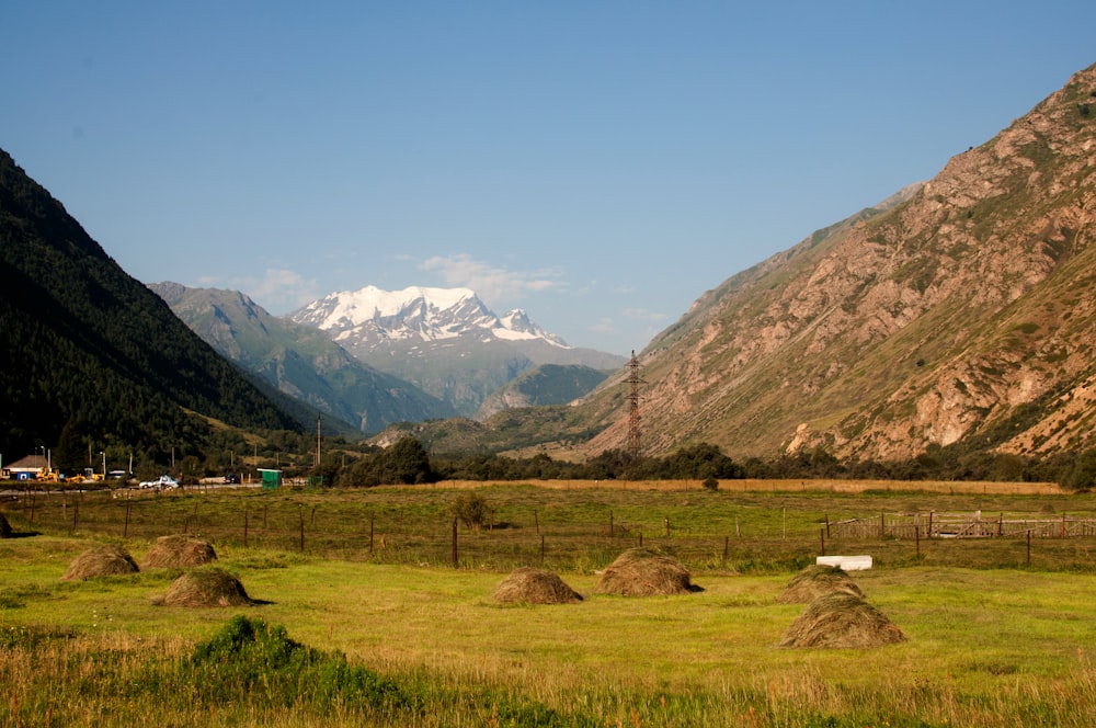 a grassy field with mountains in the background