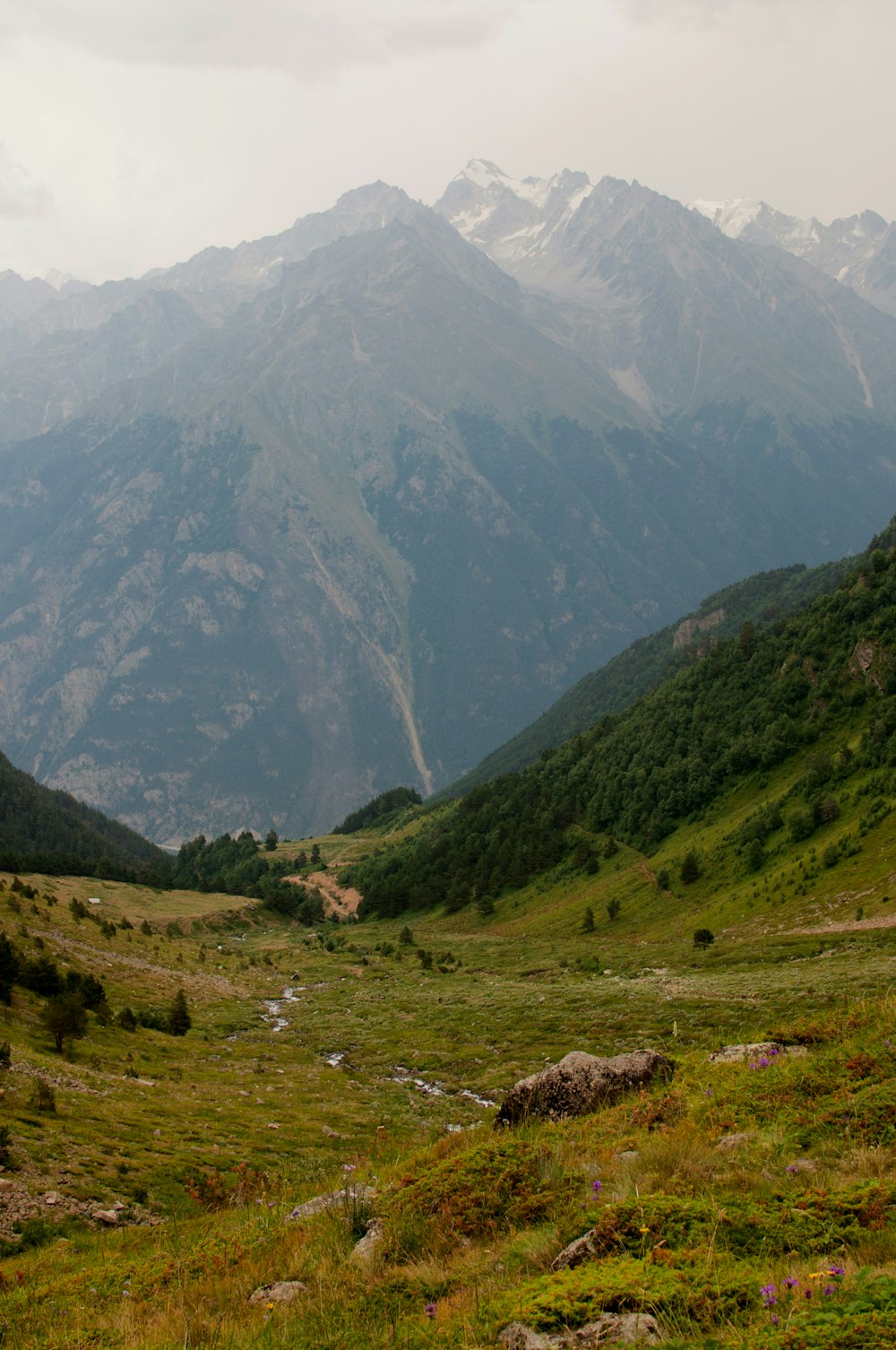 una vista di una valle con le montagne sullo sfondo