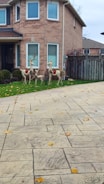 A suburban brick house with large windows and a neatly maintained lawn. Decorative reindeer sculptures are placed on the grass, adorned with red accents. In the foreground, a patterned driveway is partially covered with fallen autumn leaves.