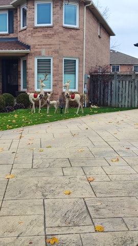 A suburban brick house with large windows and a neatly maintained lawn. Decorative reindeer sculptures are placed on the grass, adorned with red accents. In the foreground, a patterned driveway is partially covered with fallen autumn leaves.