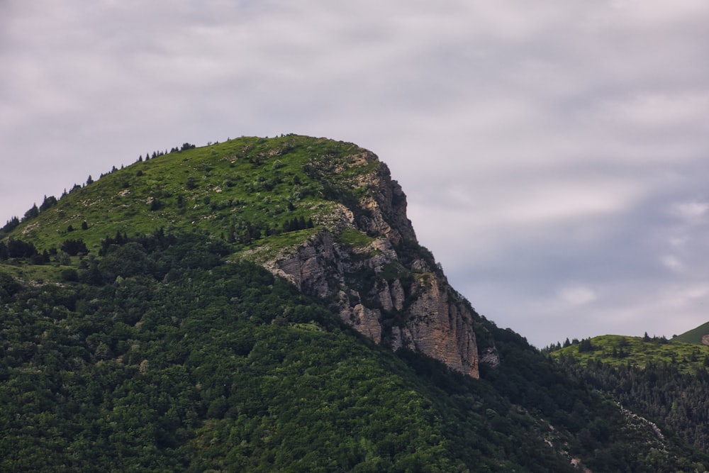 a large mountain with a forest on top