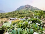Lush green hills serve as the backdrop for a resort with multiple buildings, a swimming pool, and well-manicured lawns. The foreground features dense foliage with white flowers, creating a vivid contrast with the green landscape.