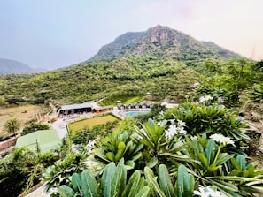 Lush green hills serve as the backdrop for a resort with multiple buildings, a swimming pool, and well-manicured lawns. The foreground features dense foliage with white flowers, creating a vivid contrast with the green landscape.