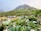 Lush green hills serve as the backdrop for a resort with multiple buildings, a swimming pool, and well-manicured lawns. The foreground features dense foliage with white flowers, creating a vivid contrast with the green landscape.