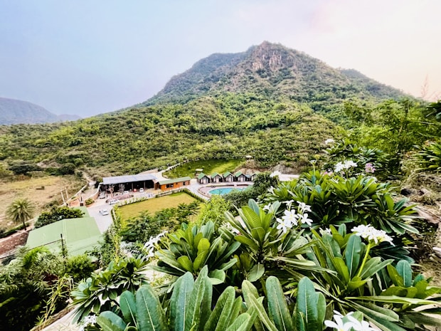 Lush green hills serve as the backdrop for a resort with multiple buildings, a swimming pool, and well-manicured lawns. The foreground features dense foliage with white flowers, creating a vivid contrast with the green landscape.