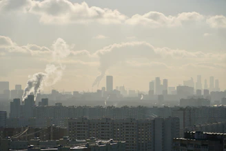 A consultant reviewing air permit documents with a city skyline in the background.