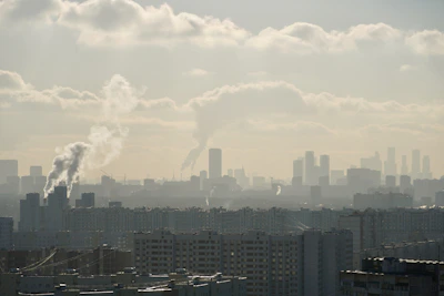 A consultant reviewing air permit documents with a city skyline in the background.