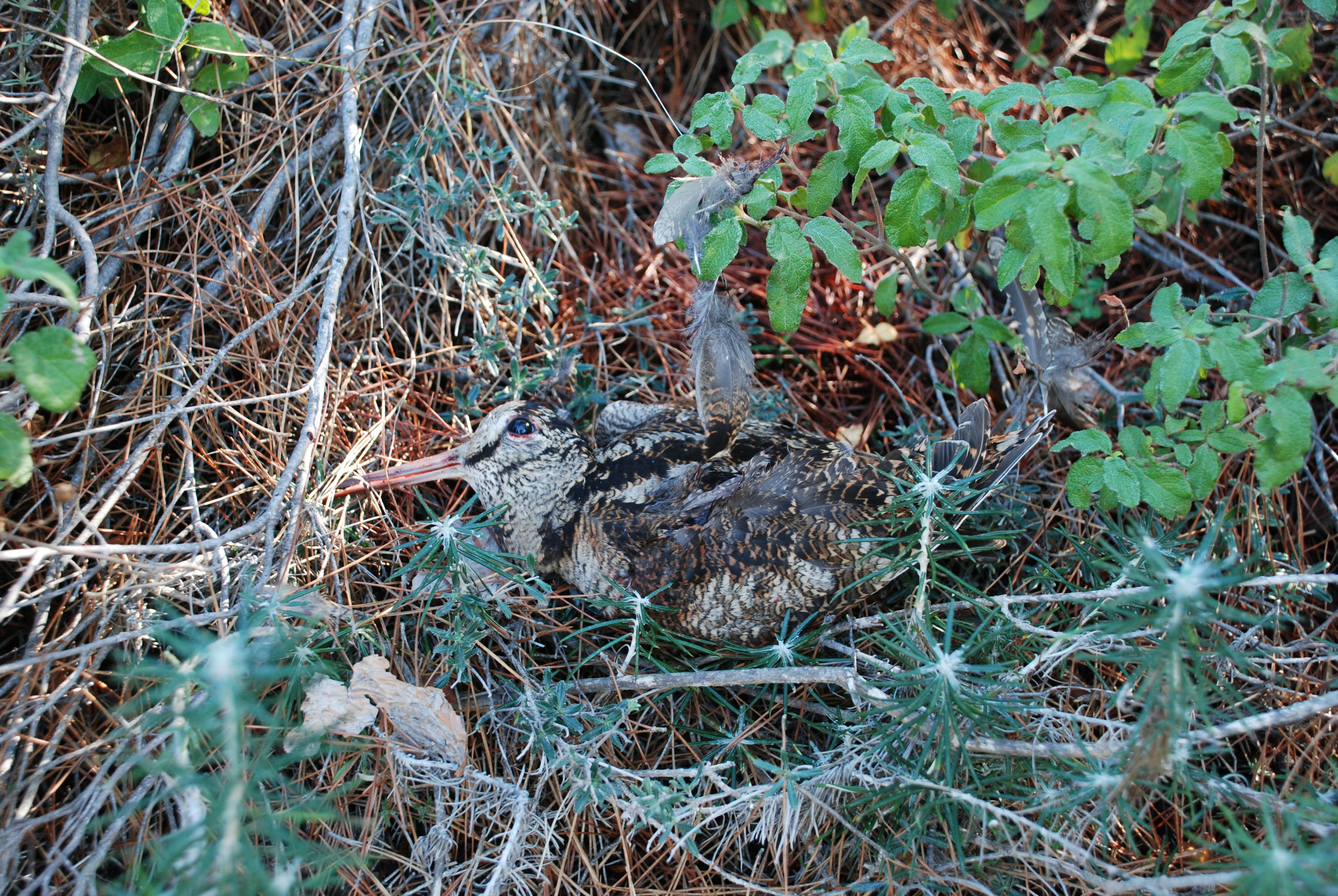 Photo by socialmediadacor