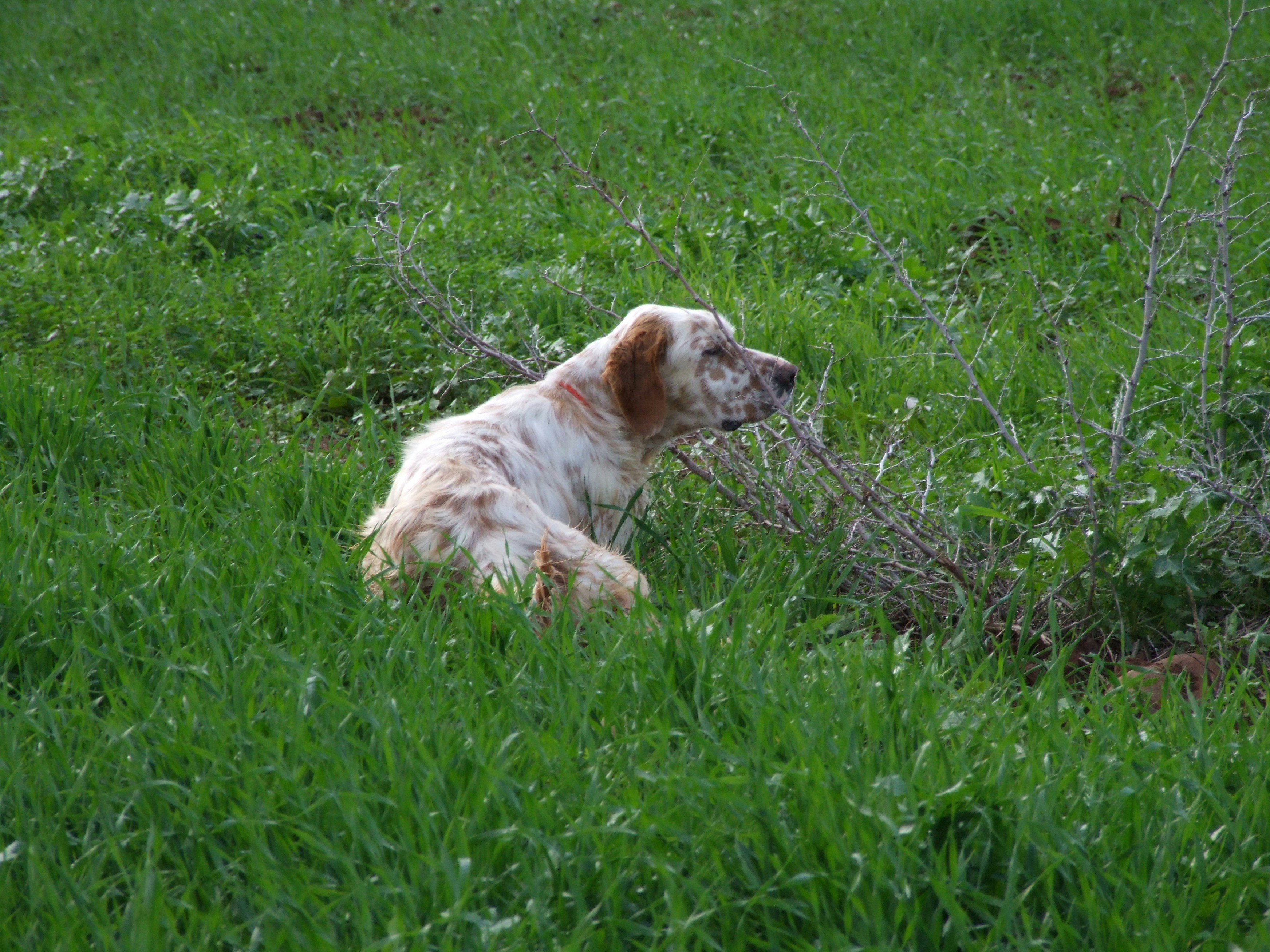 Photo by socialmediadacor