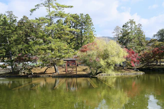A serene pond reflecting colorful autumn leaves with a traditional Japanese bridge in the background.