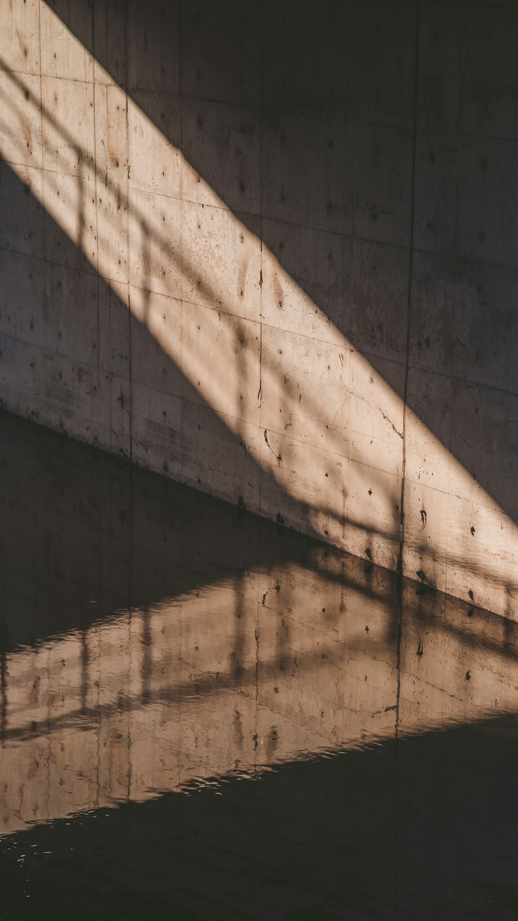 Photo by peek_a_boo_who